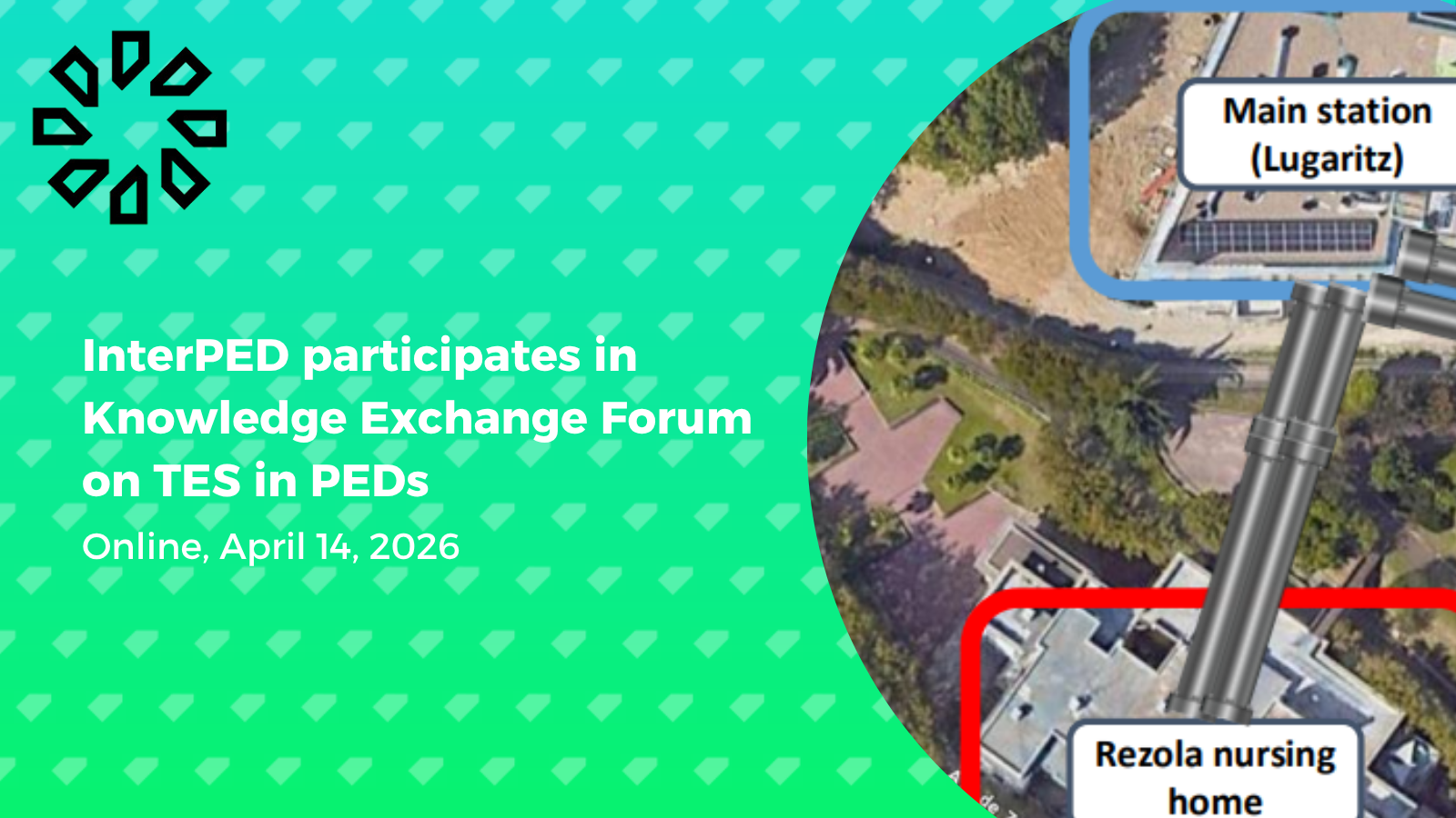 InterPED participates in Knowledge Exchange Forum on TES in PEDs